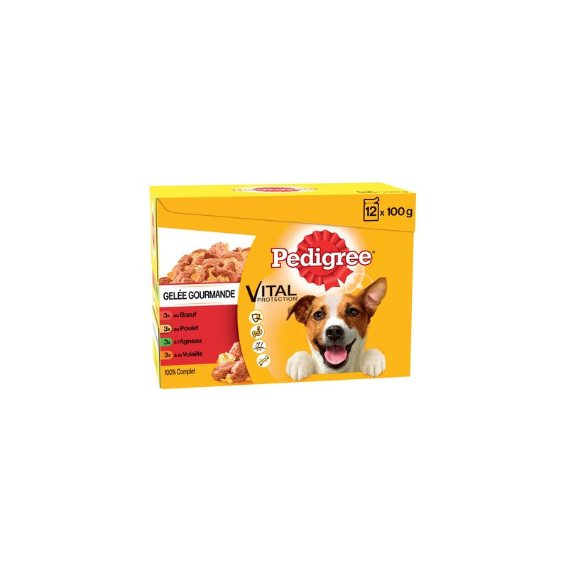 Pedigree gelée gourmande 12 x 100 g. *4