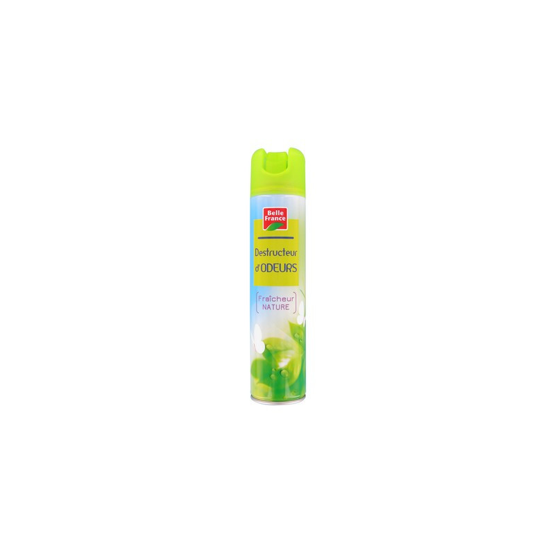 Désodorisant destructeur d\'odeur 300 ml. BF *12